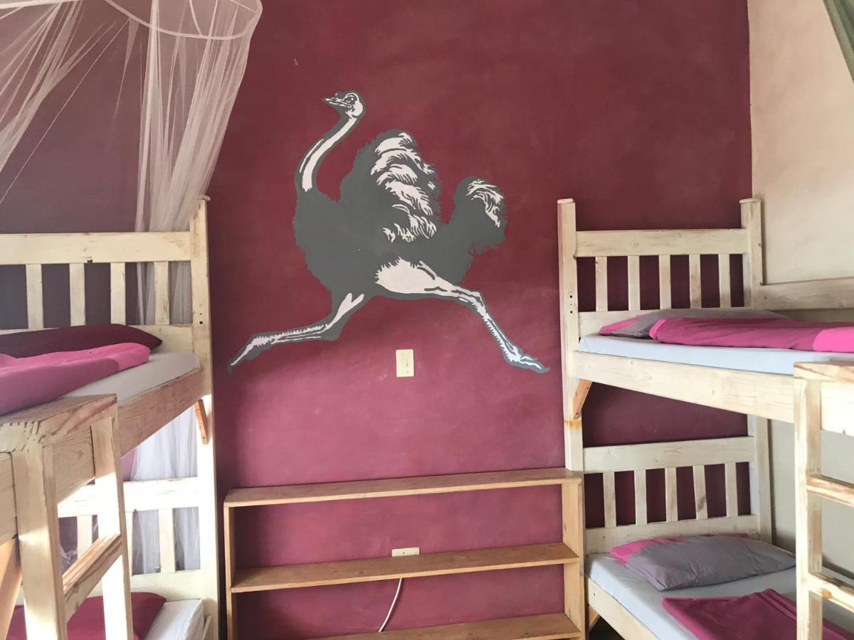 Paradisegarden Backpackers 빈트후크 외부 사진