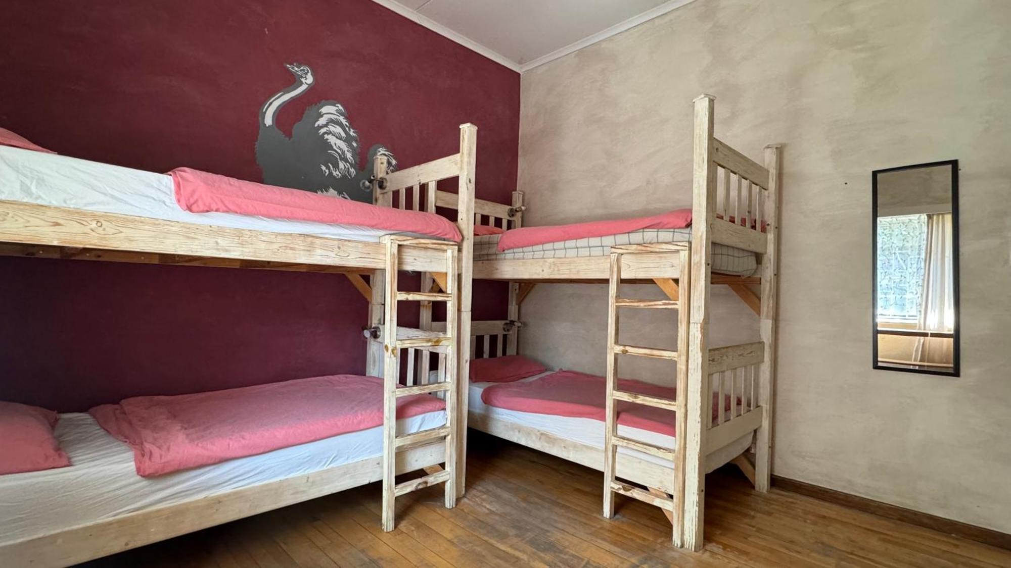 Paradisegarden Backpackers 빈트후크 외부 사진